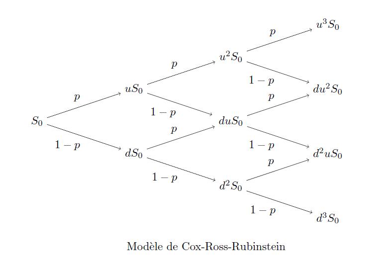 Modèle de Cox-Ross-Rubinstein ©UMONS
